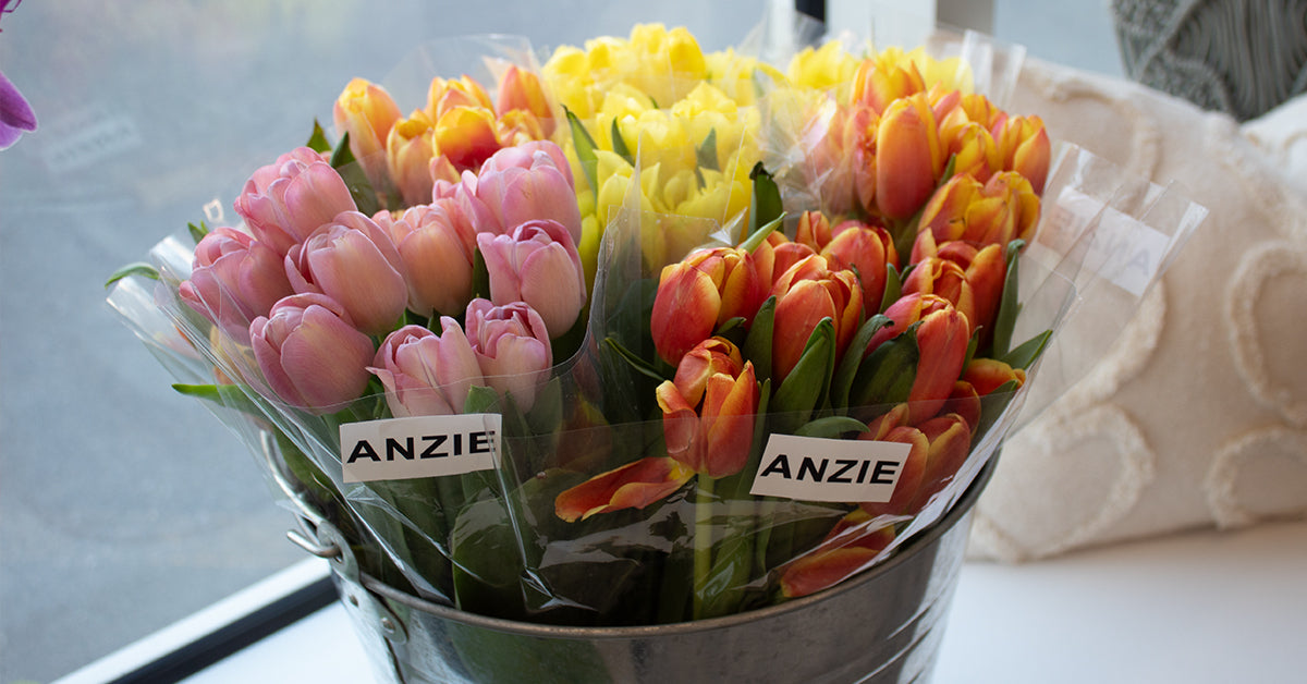 Cheers to 25 Years of Anzie