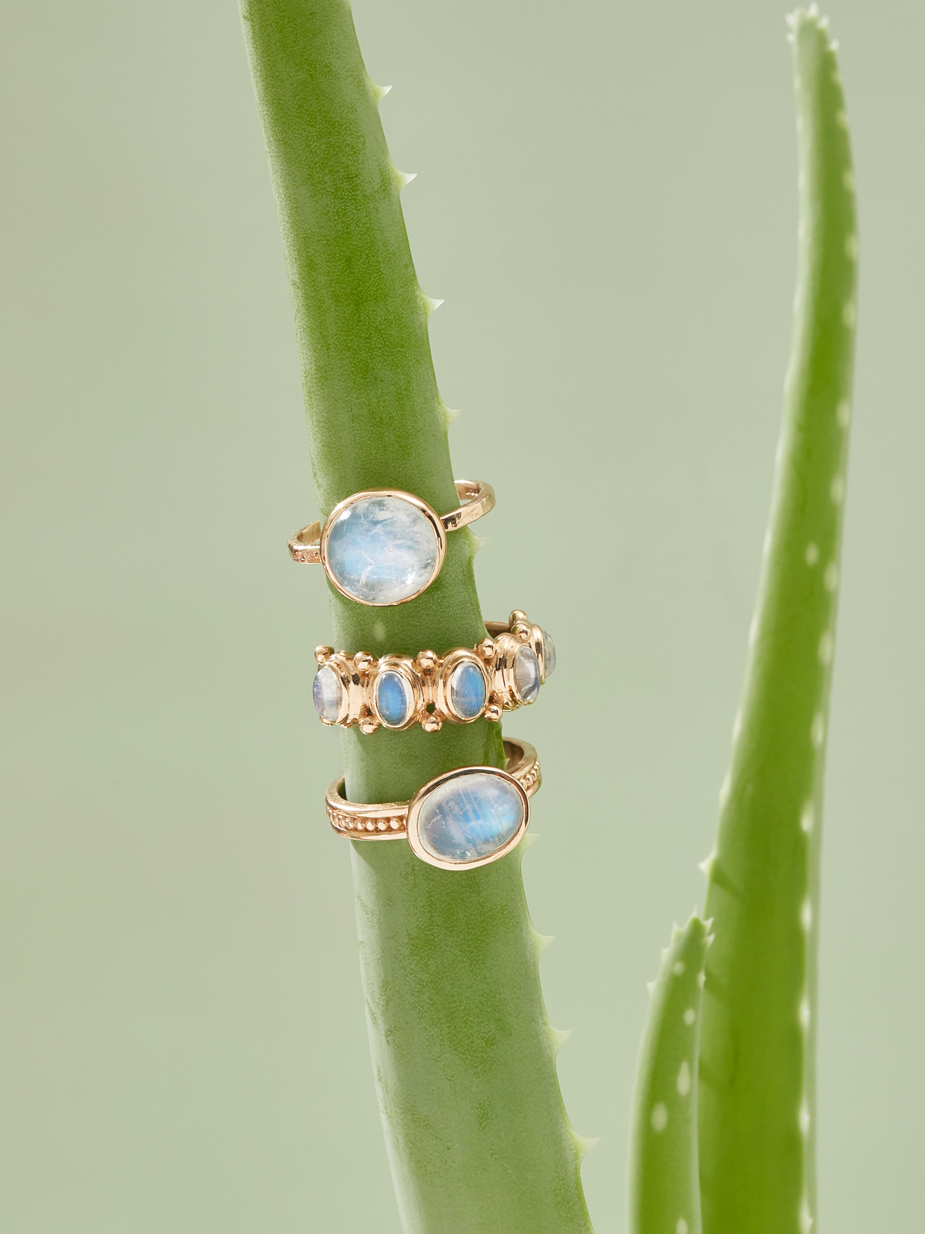 Classique Bezel Ring