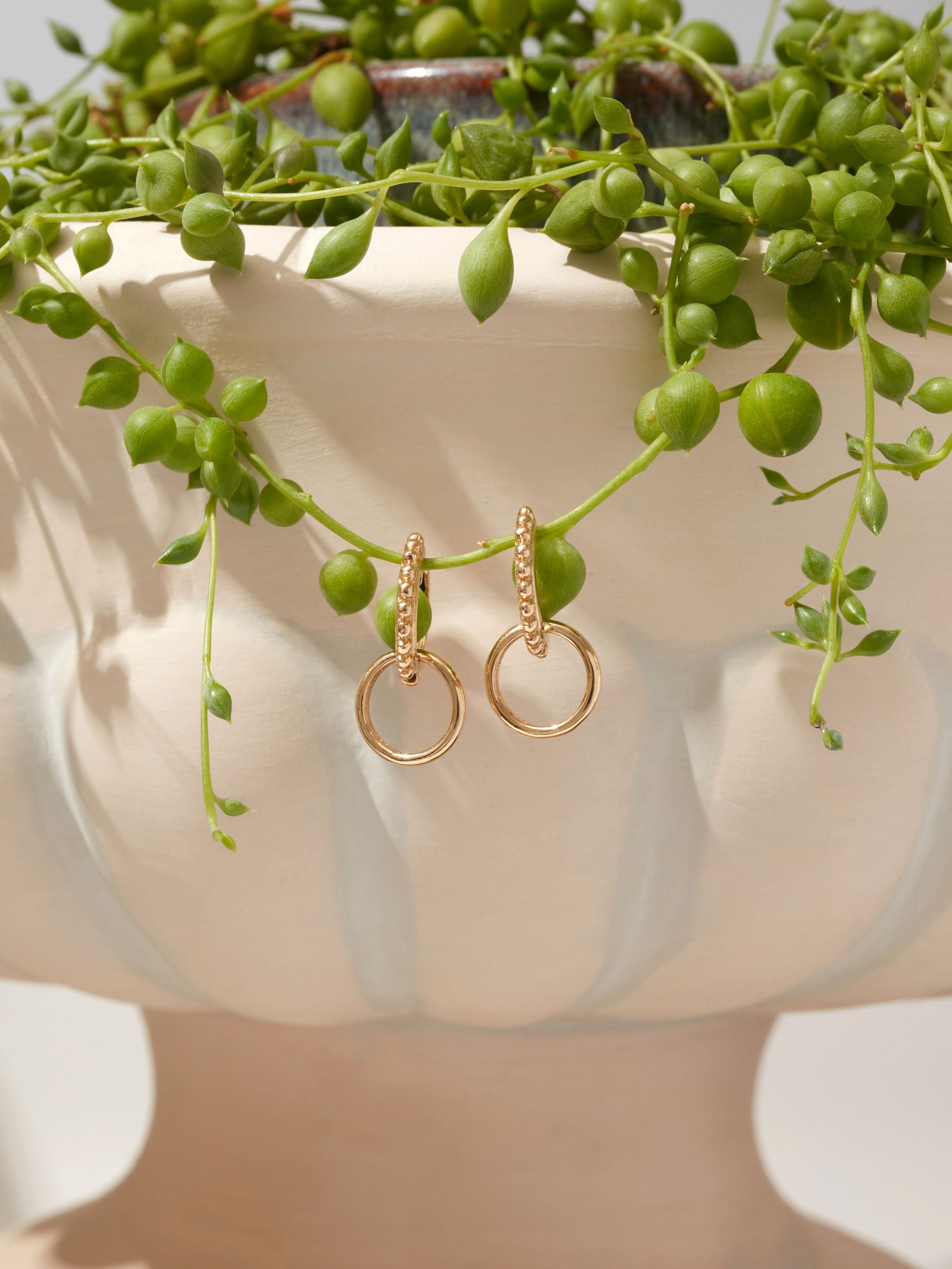 Dew Drop Claire Round Paperclip Hoops