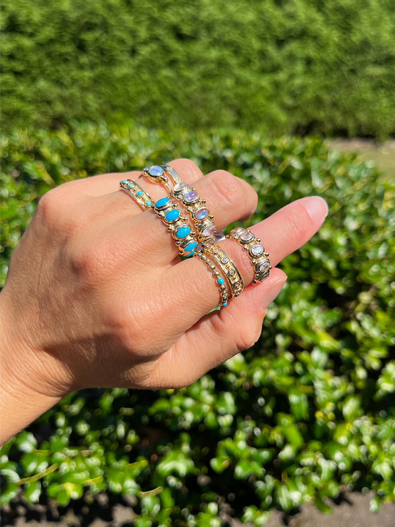 Arc Bande Méditerranée