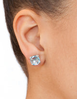 Clous d’Oreilles Grappe Dew Drop