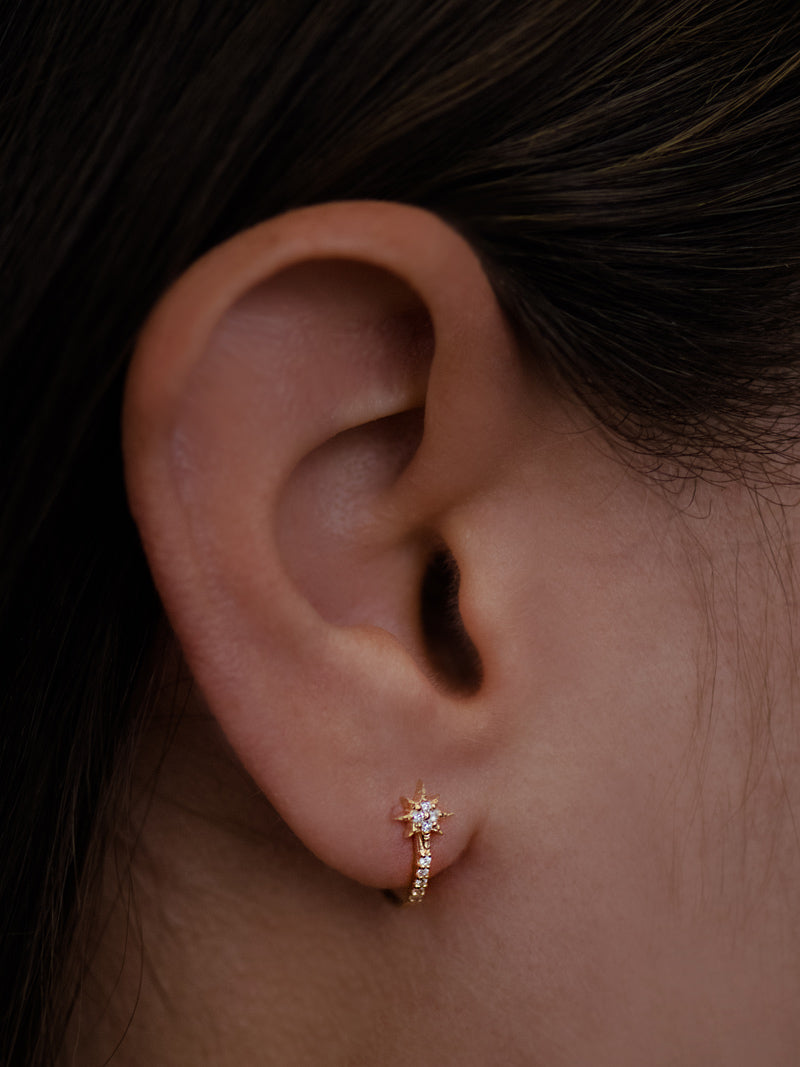 Micro Aztec North Star Single Half Hoop