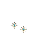 Jac + Jo Clous d’Oreilles Icône Éclat d’Étoiles