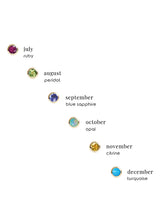 Bonheur Birthstone Necklace